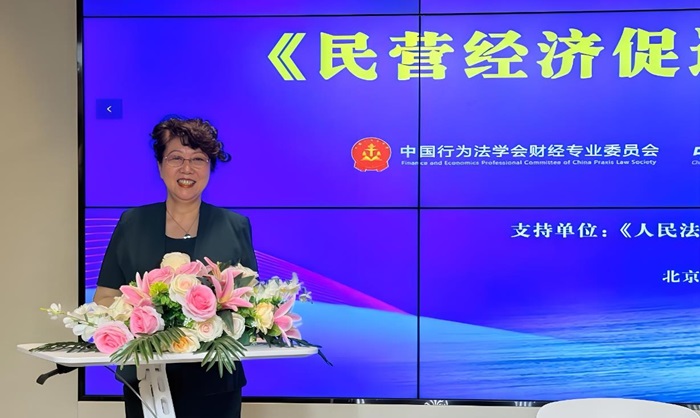 北京学界研讨《民营经济促进法》实施 凝聚合力推动落地生根